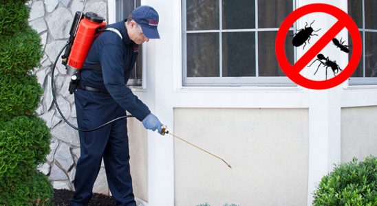 Kaynaklar Akrep İlaçlama böcek ilaçlama ve haşere kontrolü — ilaclama-tr.com